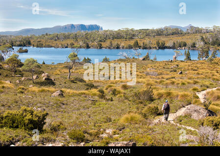 Australia, Tasmania. Cradle Mountain-Lake St. Clair National Park. Hiker approaching Lake Windermere (MR) Stock Photo