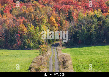 Canada, Quebec, Sainte-Famille. Country road Stock Photo