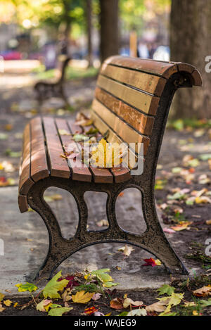 Canada, Quebec, Montreal. Carre St-Louis square, park bench Stock Photo