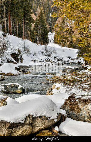 Austria, Kals am Grossglockner. Hohe Tauern National Park, small stream running down the mountain Stock Photo