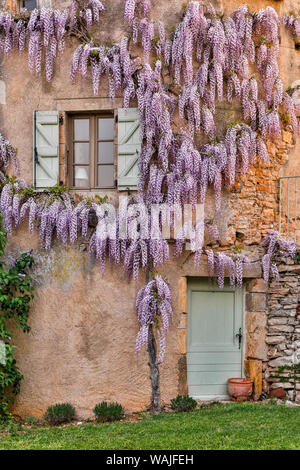 France, La Garrigue. Mas de Garrigue, wisteria growing on a turret of the home. (PR) Stock Photo