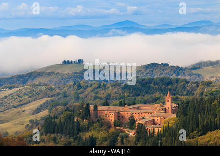 Italy, Tuscany, Province Of Siena, Asciano. Hill Town, Center Of The.