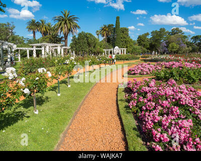 Bosques de Palermo park in quarter Palermo, the rose garden (El Rosedal de Palermo). Buenos Aires, capital of Argentina. Stock Photo