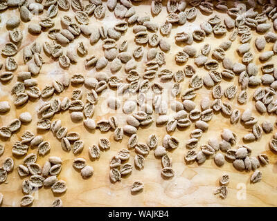 Italy, Alberobello. Typical Apulia region fresh pasta called orecchiette, made of durum wheat semolina. Stock Photo