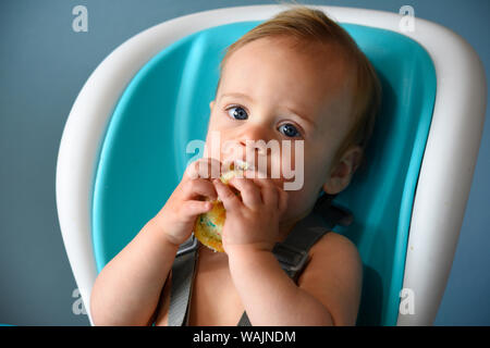 1 year old boy eating birthday cupcake (MR) Stock Photo