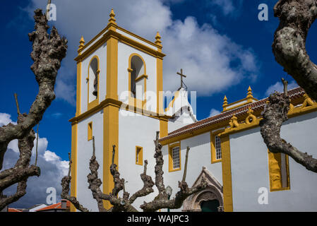 Portugal, Azores, Terceira Island, Praia da Vitoria. Igreja Matriz church Stock Photo