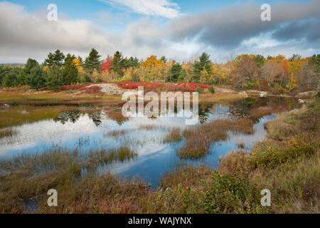 USA, Maine. New Mills Meadow Pond, Acadia National Park. Stock Photo