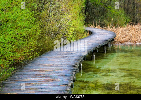 Europe, Croatia, Plitvice Lakes National Park. Wooden walkway over lake. Credit as: Jim Nilsen / Jaynes Gallery / DanitaDelimont.com Stock Photo