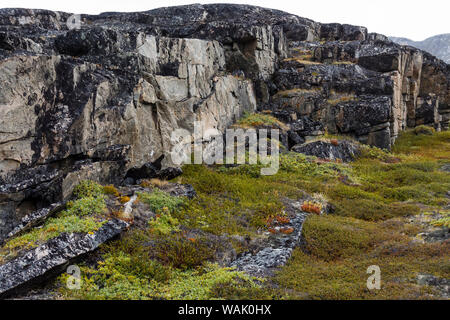 Greenland, Eqip Sermia. Rocks and tundra. Stock Photo