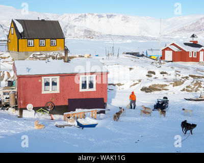 Saatut fishing village during winter in the Uummannaq Fjord, north of the polar circle. Sled dogs are tended. Greenland. (Editorial Use Only) Stock Photo