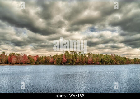 USA, New Jersey, Belleplain State Forest. Storm clouds over lake and forest. Credit as: Jay O'Brien / Jaynes Gallery / DanitaDelimont.com Stock Photo