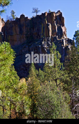 USA, New Mexico. Jemez Mountains in Fall Stock Photo