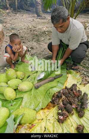 Kosrae, Micronesia (FSM). Local Kosrae man and his son at a traditional pit oven (um). Here, taro roots and breadfruit await cooking while fish steams under the leaves. (Editorial Use Only) Stock Photo