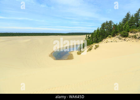 Oregon Dunes National Recreation Area, Oregon Coast near Reedsport. Stock Photo