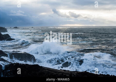 Winter storm watching, Shore Acres State Park, Southern Oregon Coast, USA Stock Photo