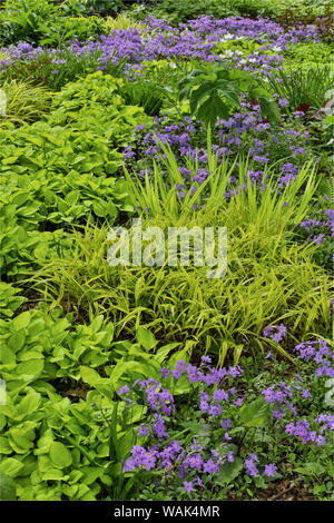 Spring colors, Chanticleer Garden, Wayne, Pennsylvania. Stock Photo