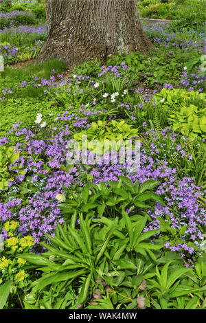 Spring colors, Chanticleer Garden, Wayne, Pennsylvania. Stock Photo