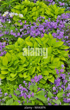 Spring colors, Chanticleer Garden, Wayne, Pennsylvania. Stock Photo