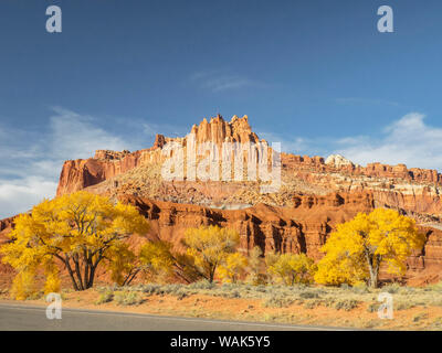 USA, Utah. Capitol Reef National Park, The Castle with Golden Fremont Cottonwood trees Stock Photo