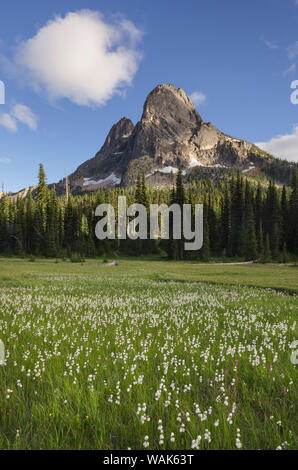 Liberty Bell Mountain seen from green meadows of, Washington Pass, North Cascades, Washington State Stock Photo
