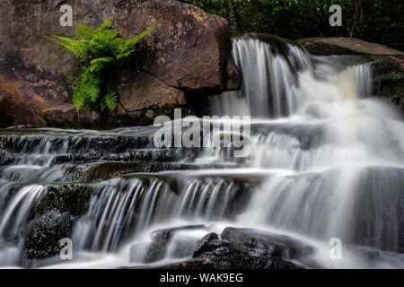 USA, West Virginia, Blackwater Falls State Park. Stream cascade. Credit as: Jay O'Brien / Jaynes Gallery / DanitaDelimont.com Stock Photo