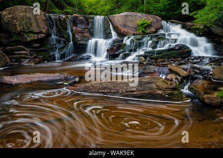 USA, West Virginia, Blackwater Falls State Park. Stream cascade and pool eddy. Credit as: Jay O'Brien / Jaynes Gallery / DanitaDelimont.com Stock Photo