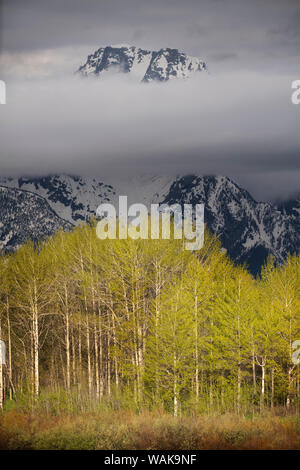 USA, Wyoming, Grand Teton National Park. Sunrise on storm clouds over mountain and forest. Credit as: Don Grall / Jaynes Gallery / DanitaDelimont.com Stock Photo