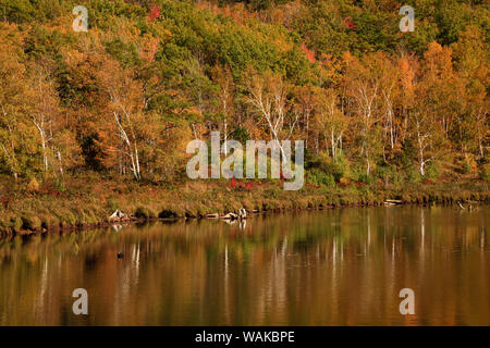 USA, Maine. Acadia National Park, reflections in the fall at Beaver Dam Pond. Stock Photo