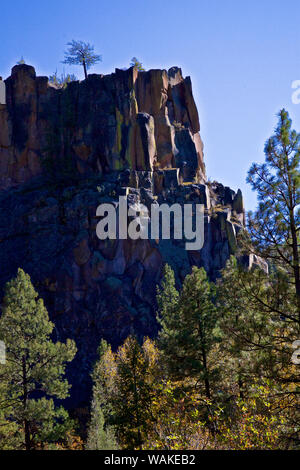 USA, New Mexico, Jemez Mountains in Fall Stock Photo