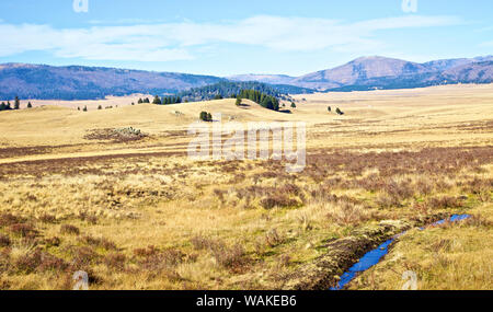 USA, New Mexico, Jemez Mountains in Fall, Valles Caldera National Preserve Stock Photo