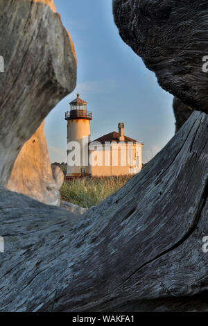 Evening light through drift logs Coquille River Lighthouse, Bullards Beach State Park, Oregon Stock Photo