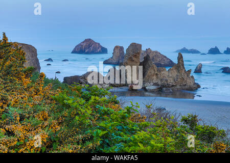 View of sea stacks and Face Rock, Bandon, Oregon Stock Photo