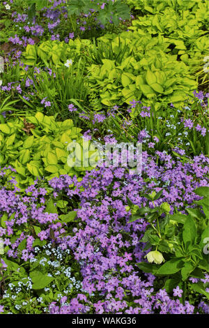 Spring colors Chanticleer Garden, Wayne, Pennsylvania Stock Photo