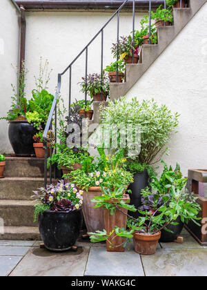 USA, Pennsylvania. Potted plants on patio and stairway. Stock Photo