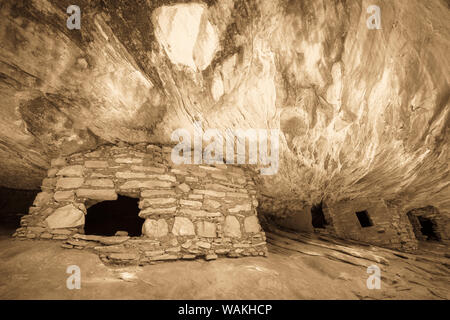 House on Fire Ruin, Cedar Mesa, Bears Ears National Monument, Utah, USA. Stock Photo