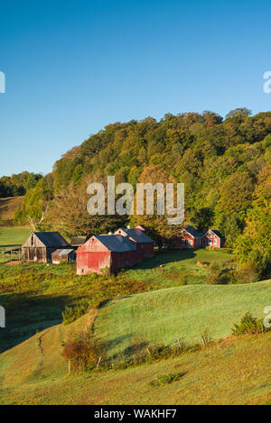 USA, Vermont, Reading. Jenne Farm Stock Photo