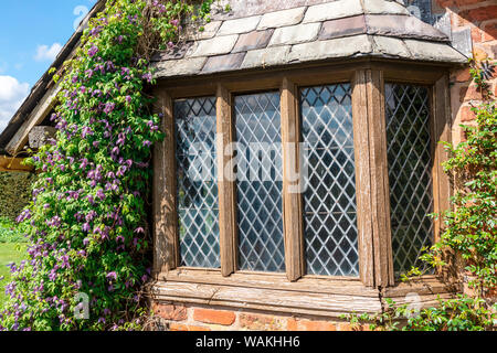 Old leaded window with wooden windowframe and clematis by the side. Stock Photo