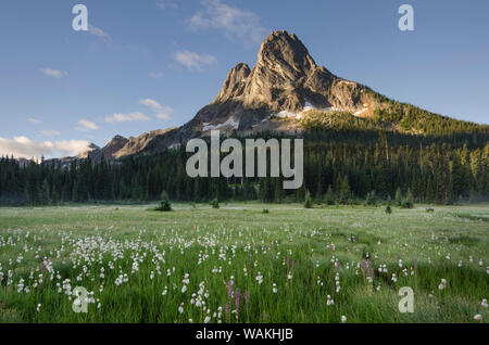 Liberty Bell Mountain seen from meadows of Washington Pass, North Cascades, Washington State Stock Photo
