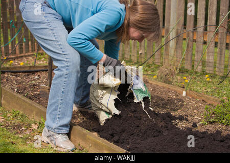 Sammamish, Washington State, USA. Woman adding compost to a small kitchen garden. (MR, PR) Stock Photo
