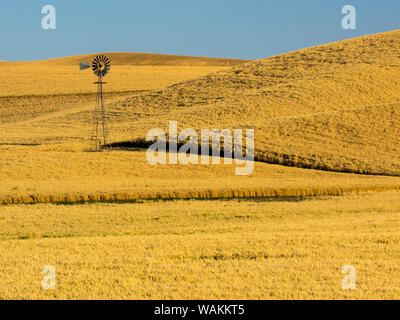 USA, Washington State, Palouse Region. Windmill in fields during harvest Stock Photo