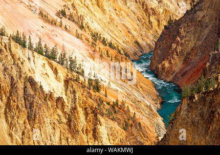The Yellowstone River and canyon from Grandview Point, Yellowstone National Park, Wyoming, USA. Stock Photo