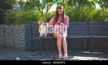 The young woman is sitting on the bench in the park with little dog. Corgi puppy is sitting in the park, nice summer day Stock Photo