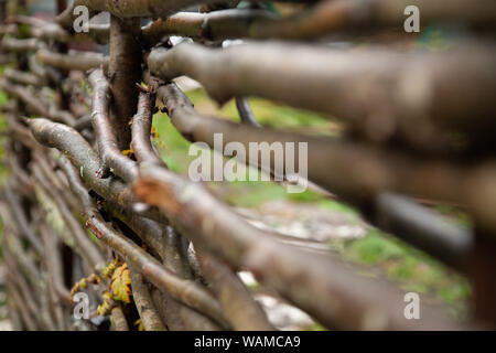 A fence made of twigs with nobody near green grass Stock Photo