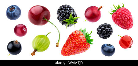 Berries collection isolated on white background with clipping path Stock Photo