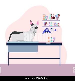 cute bull terrier in care salon scene Stock Vector