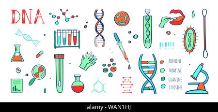 Dna infographics. Spiral human biology structure vector medical ...