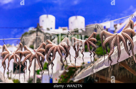 Traditional windmill and octopus in Leros island,Greece. Stock Photo