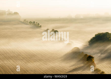 Morning fog on the fields in a rural landscape Stock Photo