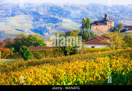 Autumn landscape - beautiful colorful vineyards of Piedmont, Vine region of northern Italy Stock Photo