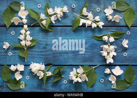 Romantic frame made from flowering jasmine twigs, flowers, leaves and hearts on blue wooden background - text space Stock Photo